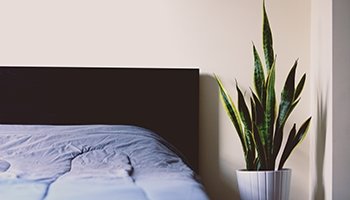 room picture